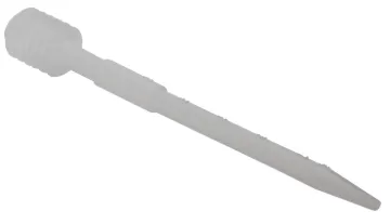 594381.jpg