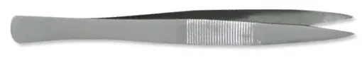 595230.jpg