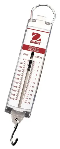 595554.jpg