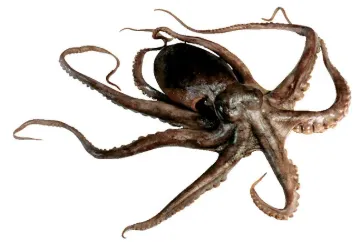 596373_1.jpg