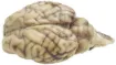 596877_1.jpg