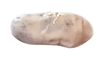 596895_1.jpg