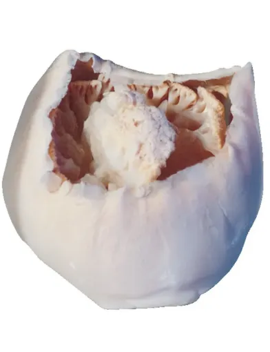 597204_1.jpg