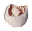 SS200172_1.jpg