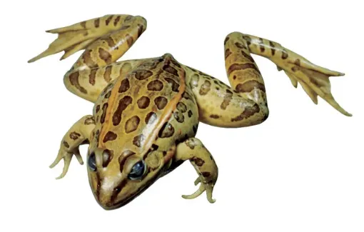 597717_1.jpg