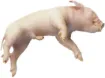 597915_1.jpg
