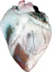 SS200258_1.jpg