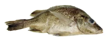 598083_1.jpg