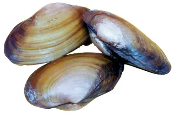 597270_2.jpg