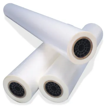 SS239296_1.jpg