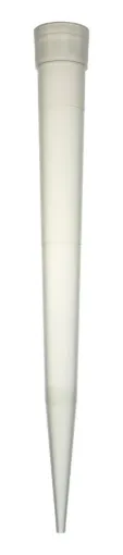 SS240038_1.jpg