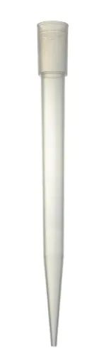 SS240040_1.jpg