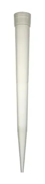 SS240041_1.jpg