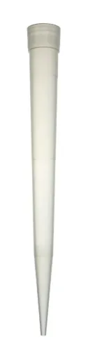 SS240041_1.jpg