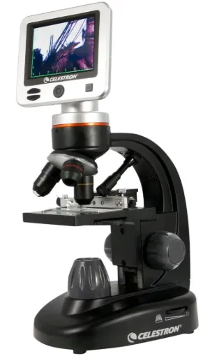 SS240509_1.jpg