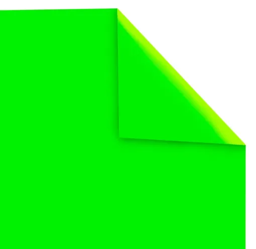 SS241525_1.jpg
