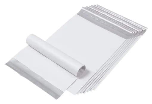 SS241543_1.jpg