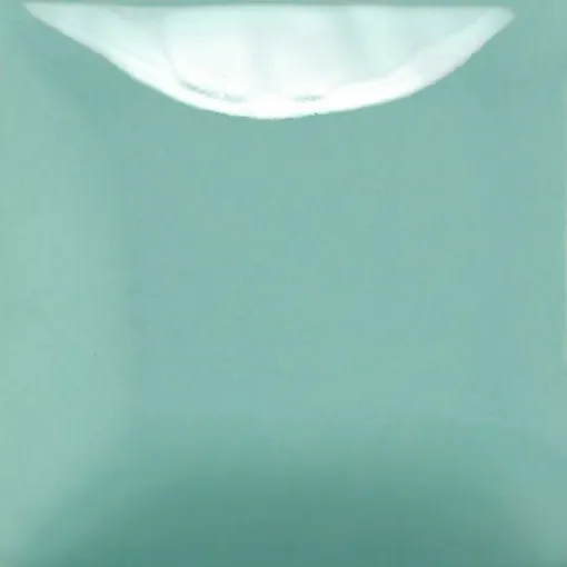 SS241566_1.jpg