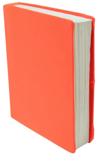 SS241595_1.jpg