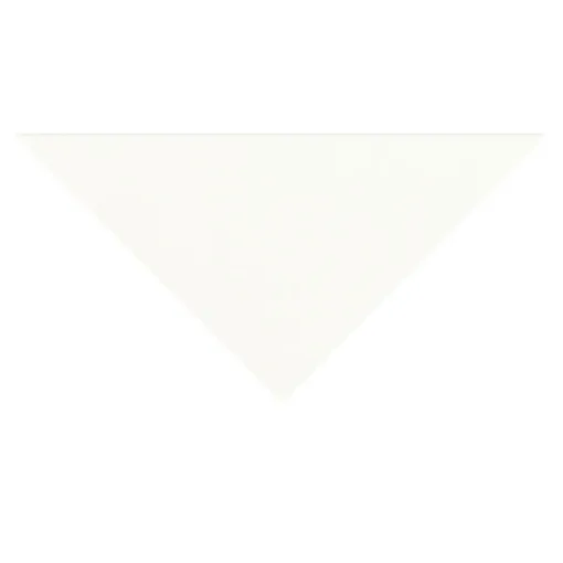SS241781_1.jpg