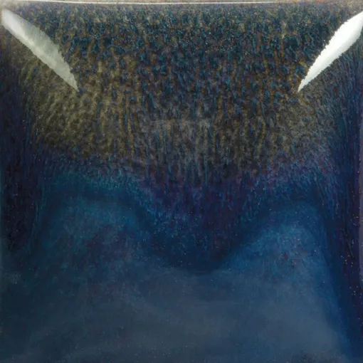 SS241869_1.jpg