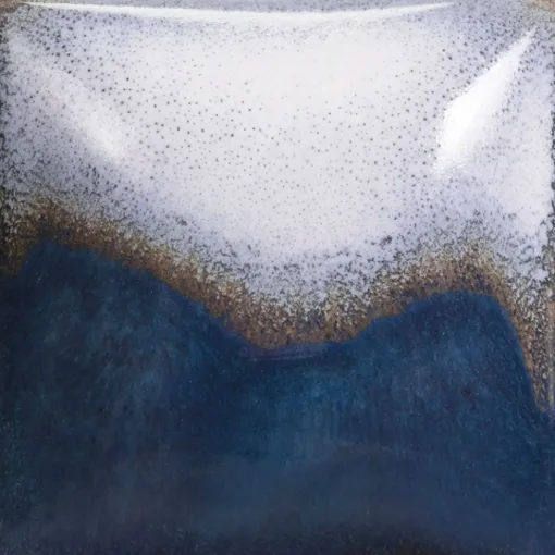 SS241872_1.jpg