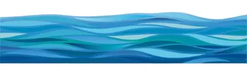 SS241888_1.jpg