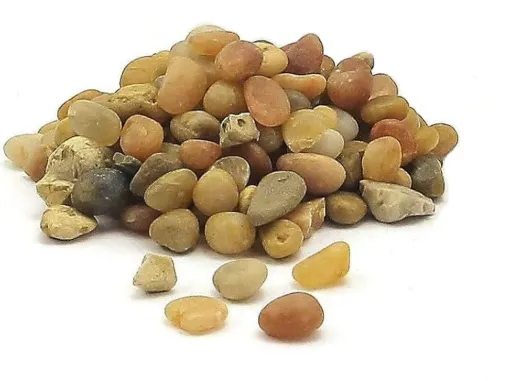 SS241910_1.jpg