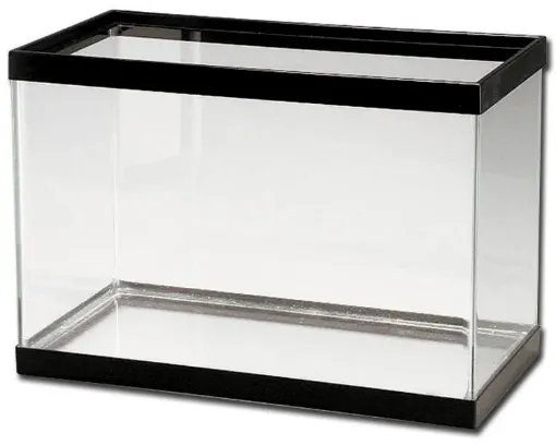 SS242344_1.jpg