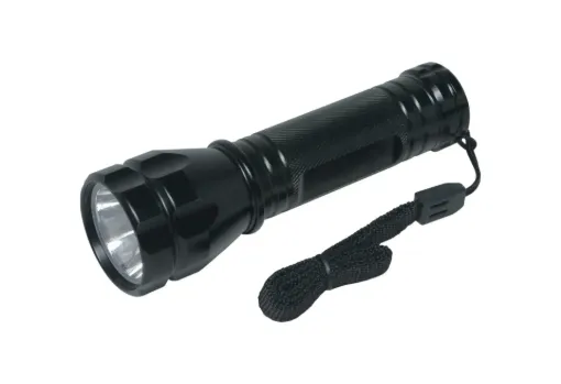 SS242902_1.jpg