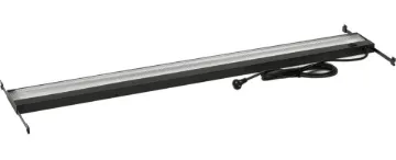 SS242984_1.jpg