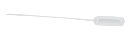 SS243397_1.jpg