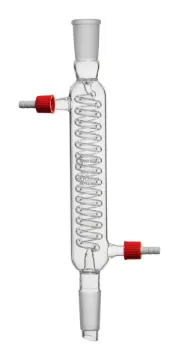 SS243956_1.jpg
