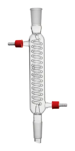 SS243956_1.jpg