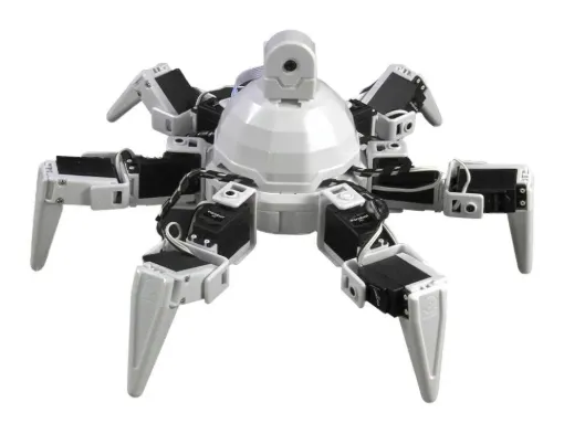 SS244108_1.jpg