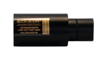 SS244732_1.jpg