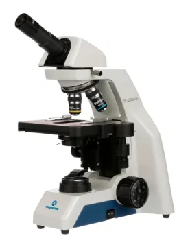 SS244733_1.jpg