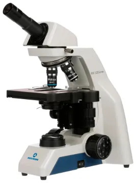 SS244737_1.jpg