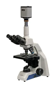 SS244742_1.jpg