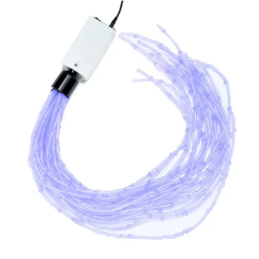 SS244780_1.jpg