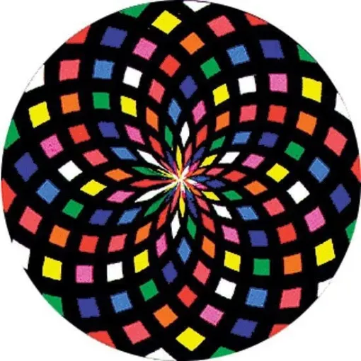 SS245111_1.jpg