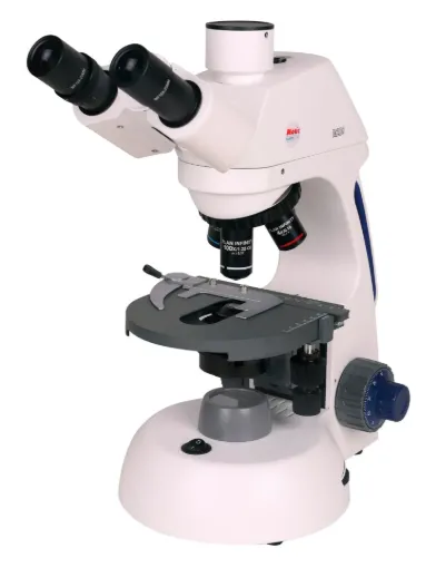 SS245582_1.jpg