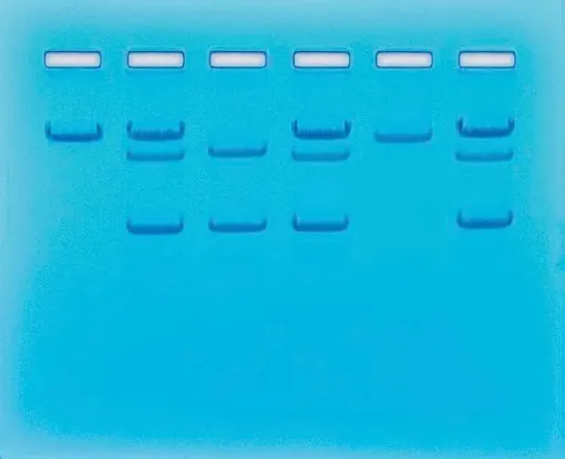SS245687_1.jpg
