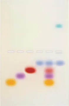 SS245691_1.jpg