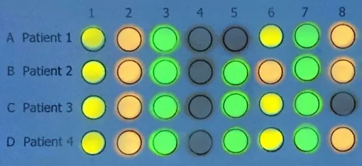 SS245692_1.jpg