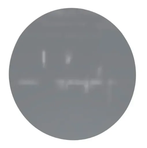 SS245811_1.jpg