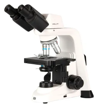 SS245950_1.jpg