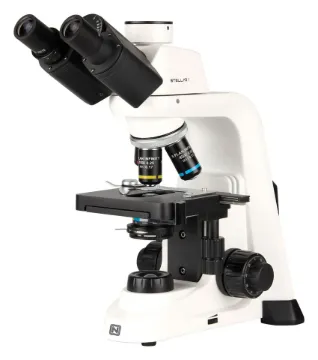 SS245956_1.jpg