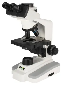 SS245970_1.jpg