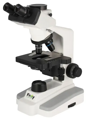 SS245970_1.jpg